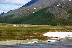 Чумы ненцев на берегу Большой Хадаты