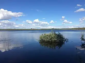 Вблизи дороги 86К-309