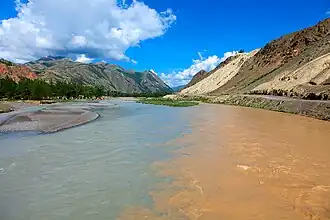 Слияние рек Чуя (справа) и Чаганузун (слева)