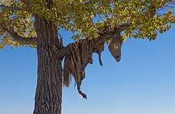 Шаманский обряд