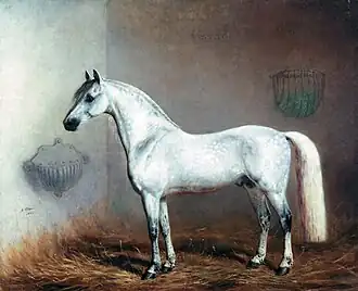 Любимец (1865)