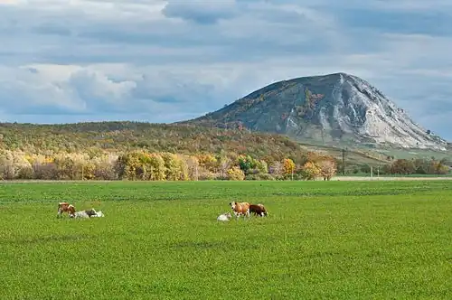 Шихан Тратау. Одиночные холмы, расположенные посреди степи, являются уникальным для Башкортостана ландшафтом.
