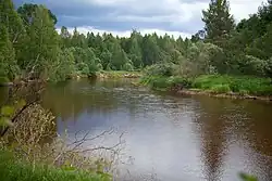 Шлина в Вышневолоцком районе