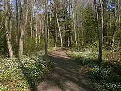 Экотропа Радоновые озёра