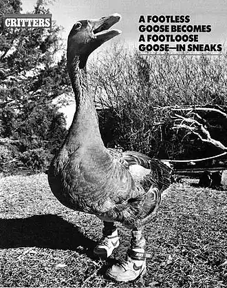 Энди в 1989 году