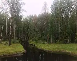 Вид в сторону Онежского озера