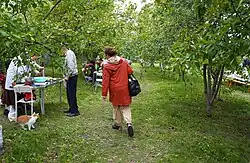 Яблоневый сад