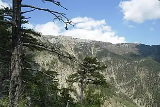 Ялтинская яйла и Иограф, вид с Ставрикайской тропы.