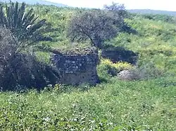 Мельница Ум-Джуни