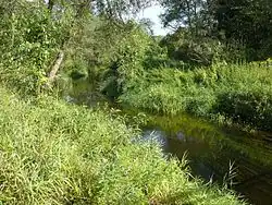 Реки Суходровка летом 2014 года