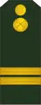 Sergent inferior  (Младший сержант)