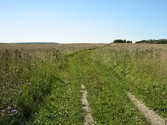 Дорога к северу от деревни