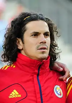 Перед игрой сборных Румынии и Австрии (2012)