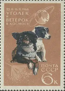 Изображение логотипа