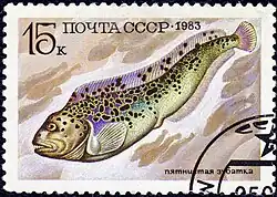 1983: Пятнистая зубатка, марка из серии «Промысловые рыбы» (ЦФА [АО «Марка»] № 5416)