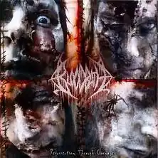 Обложка альбома Bloodbath «Resurrection Through Carnage» (2002)