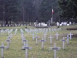 Немецко-французское мемориальное кладбище