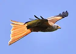 2011-04-17 14-16-49 Switzerland Kanton Schaffhausen Gennersbrunn