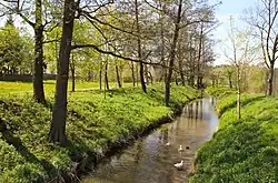 Верховье Трои во Влодзенине весной 2012 г