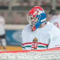 Миклош Райна в составе сборной Венгрии