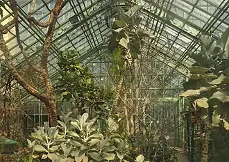 Вид изнутри