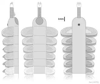Реконструкция