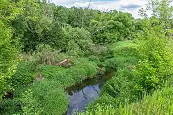 Остепненные склоны и балочные леса по правому берегу долины р. Осетрик