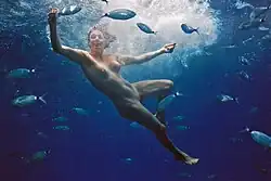 От белого к синему, 2011