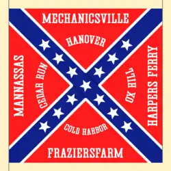 знамя 28-го северокаролинского пехотного полка