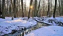 Липитинский ручей. 29 ноября 2018 года.