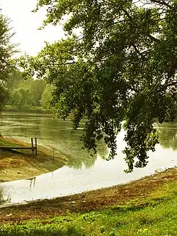 Прут в парку