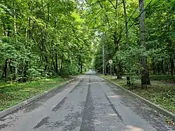 4-й Лучевой просек (июль 2022). Вид в сторону Митьковского проезда.