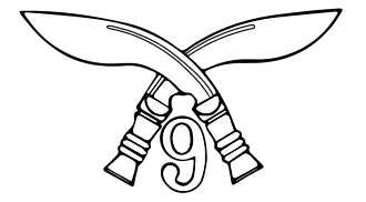 эмблема полка