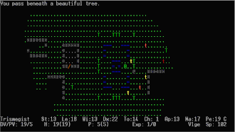 Начало игры. Деревушка Териньо.