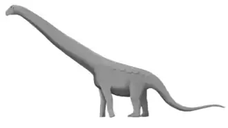Реконструкция Aeolosaurus rionegrinus