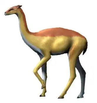 Реконструкция Aepycamelus giraffinus