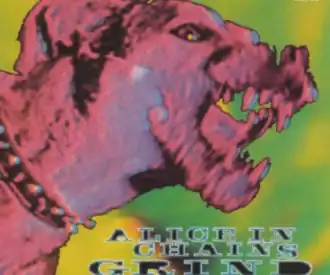 Обложка сингла Alice in Chains «Grind» (1995)