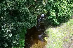 Низовье Айсты в Бартнинкае летом 2018 года