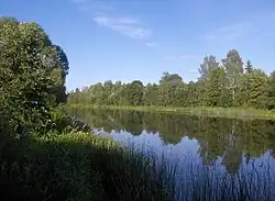 Айвиексте летом 2007 года