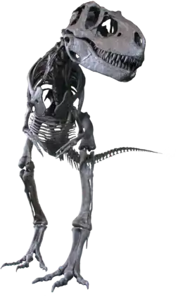 Альбертозавр