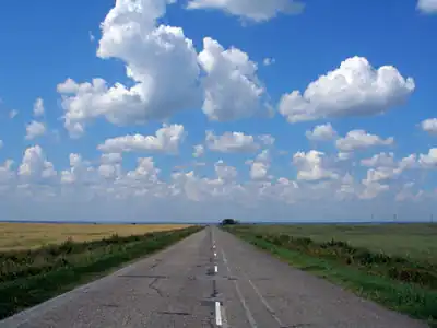 Дорога в Алейском районе Алтайского края