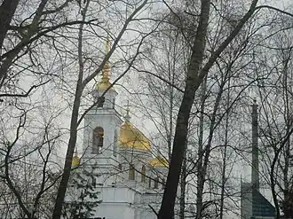 Вид на Александро-Невский собор. Правее — недостроенная телебашня.