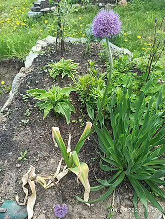 Нет доступного изображения