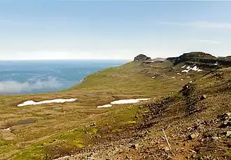 Паковые льды Датского пролива.