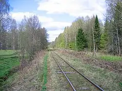 Перегон, вид в сторону торфоразработки