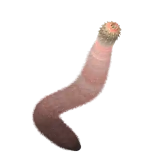 Реконструкция Ancalagon minor