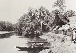 Анкобра, 1910