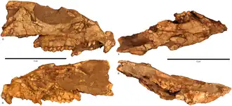 Известные элементы