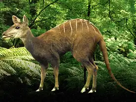 Археомерикс(современная реконструкция из БЭКМ)