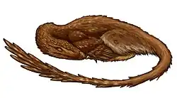 Археорнитоидес